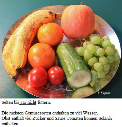 Gemüse udn Obst